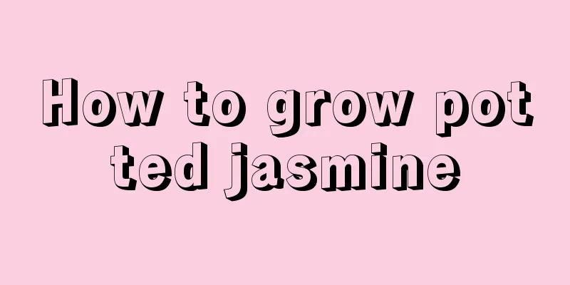 How to grow potted jasmine