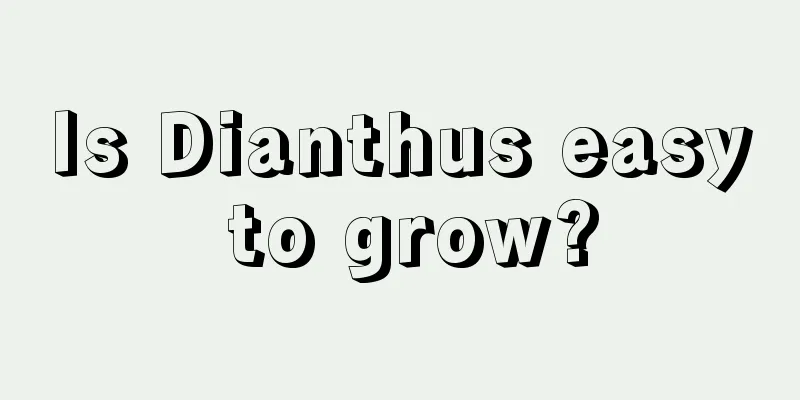 Is Dianthus easy to grow?