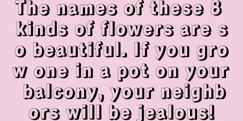 The names of these 8 kinds of flowers are so beautiful. If you grow one in a pot on your balcony, your neighbors will be jealous!