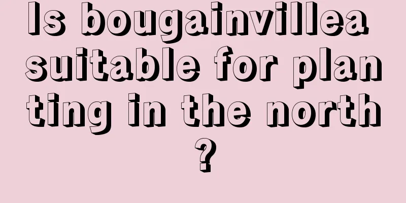 Is bougainvillea suitable for planting in the north?