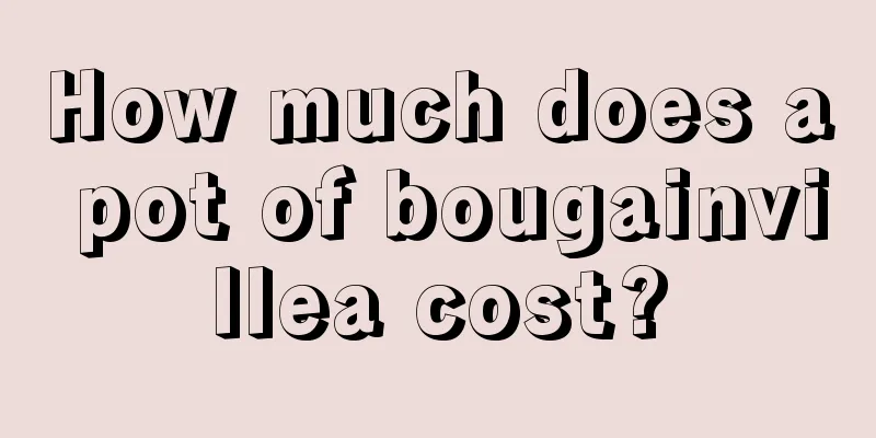 How much does a pot of bougainvillea cost?