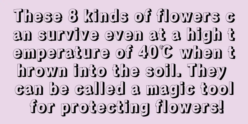 These 8 kinds of flowers can survive even at a high temperature of 40℃ when thrown into the soil. They can be called a magic tool for protecting flowers!