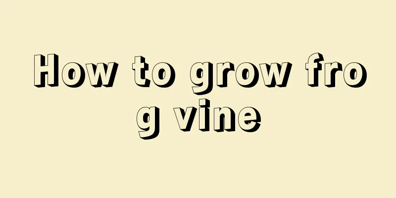 How to grow frog vine