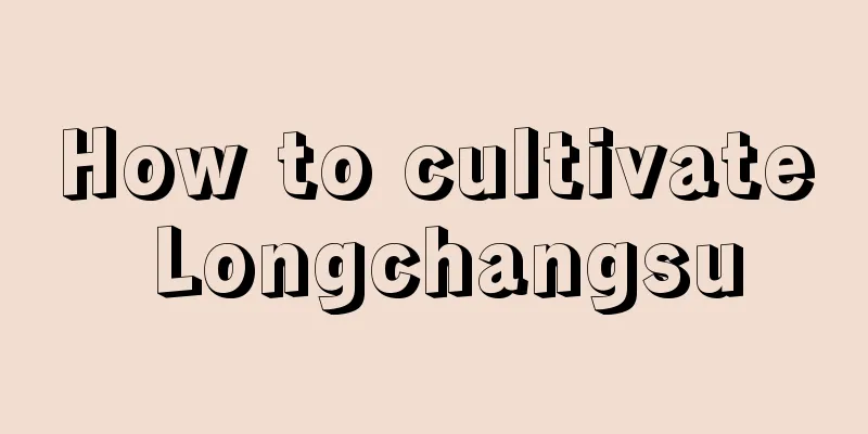 How to cultivate Longchangsu