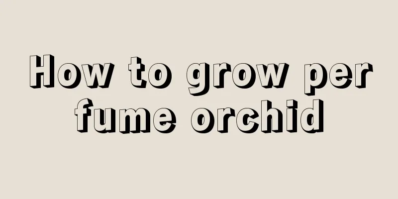 How to grow perfume orchid