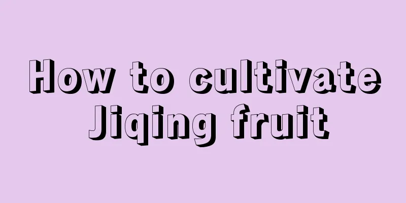 How to cultivate Jiqing fruit