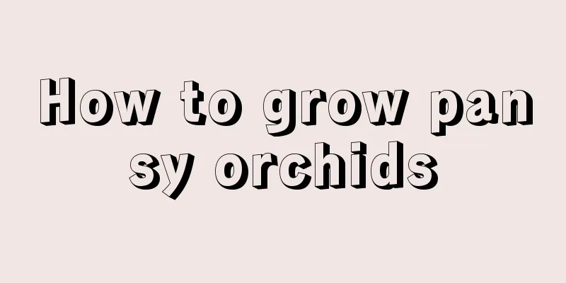 How to grow pansy orchids