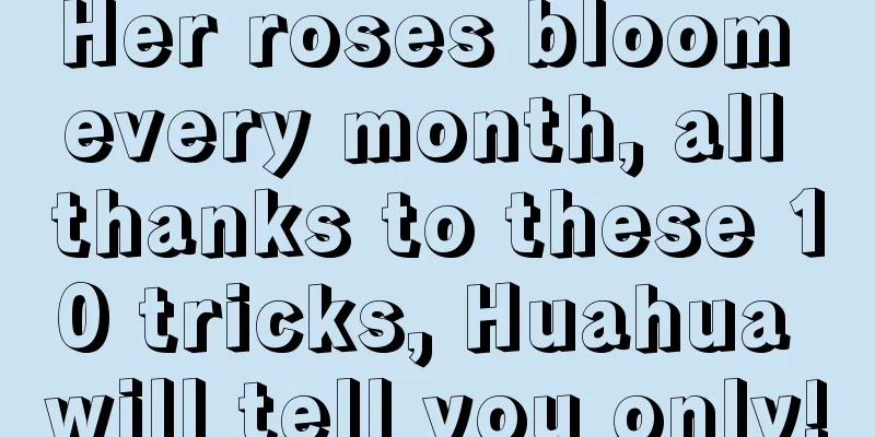 Her roses bloom every month, all thanks to these 10 tricks, Huahua will tell you only!