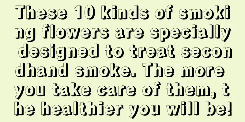 These 10 kinds of smoking flowers are specially designed to treat secondhand smoke. The more you take care of them, the healthier you will be!