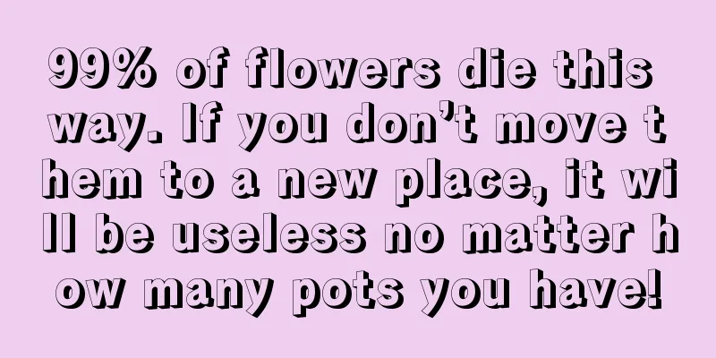 99% of flowers die this way. If you don’t move them to a new place, it will be useless no matter how many pots you have!