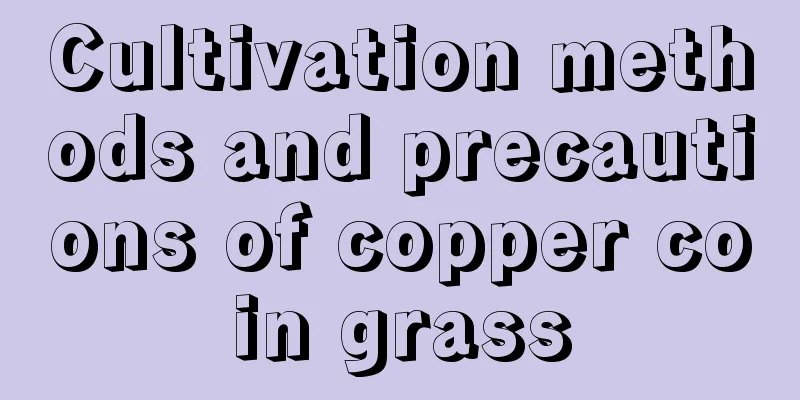 Cultivation methods and precautions of copper coin grass