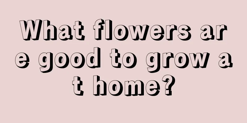 What flowers are good to grow at home?