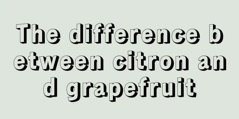 The difference between citron and grapefruit