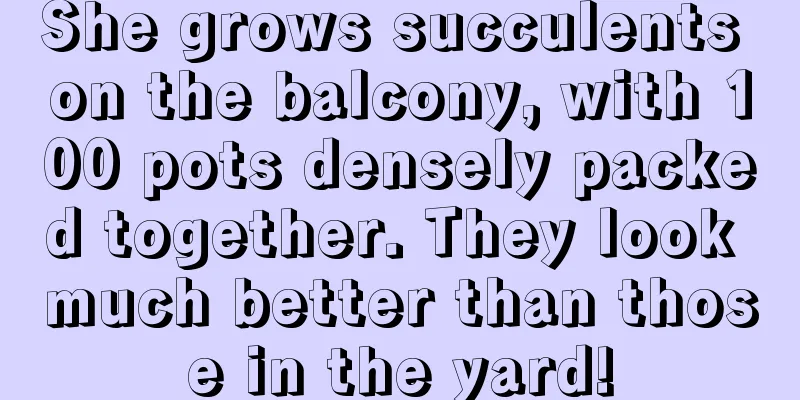 She grows succulents on the balcony, with 100 pots densely packed together. They look much better than those in the yard!