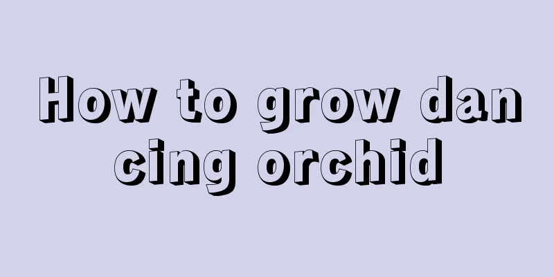 How to grow dancing orchid