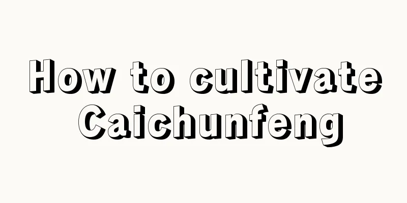 How to cultivate Caichunfeng