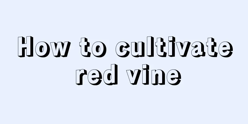 How to cultivate red vine