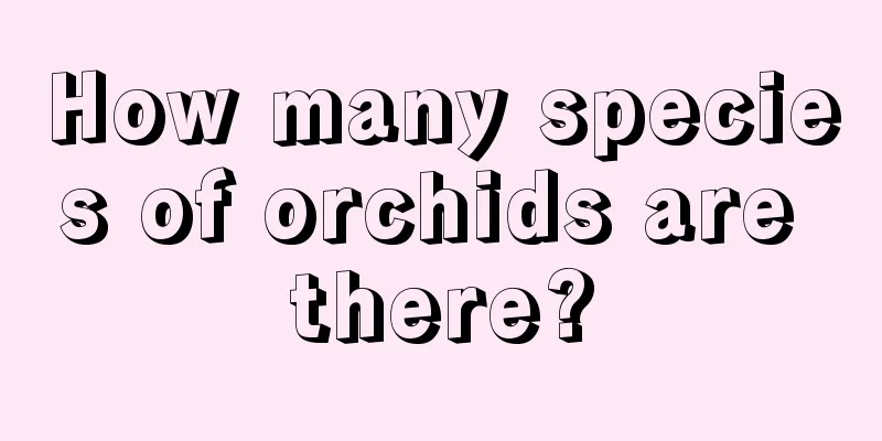 How many species of orchids are there?