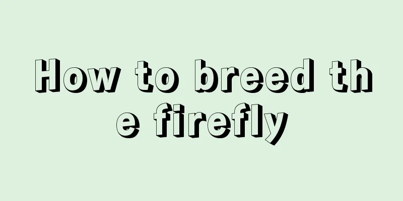 How to breed the firefly