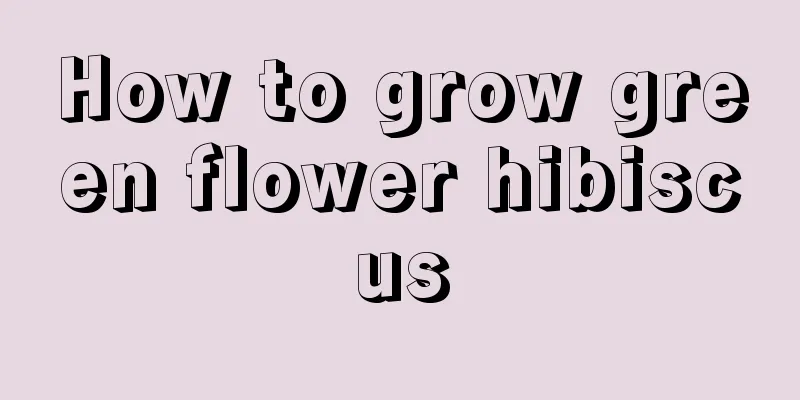 How to grow green flower hibiscus