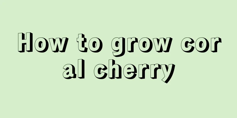 How to grow coral cherry