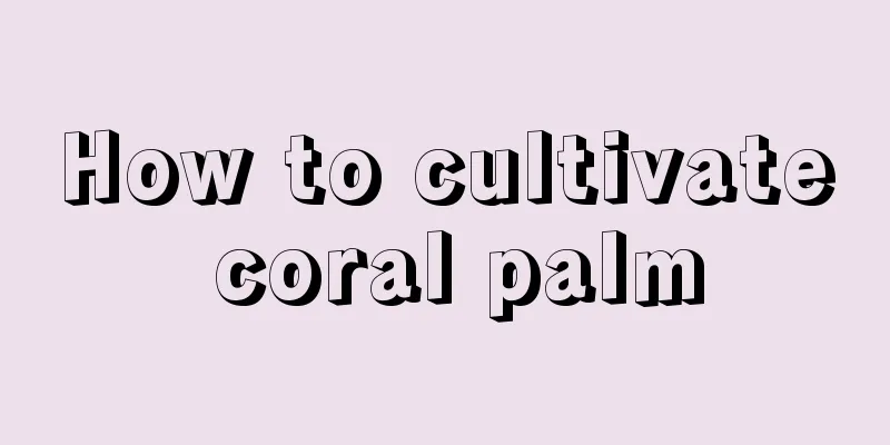 How to cultivate coral palm