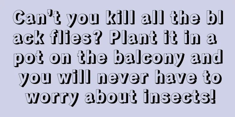 Can’t you kill all the black flies? Plant it in a pot on the balcony and you will never have to worry about insects!