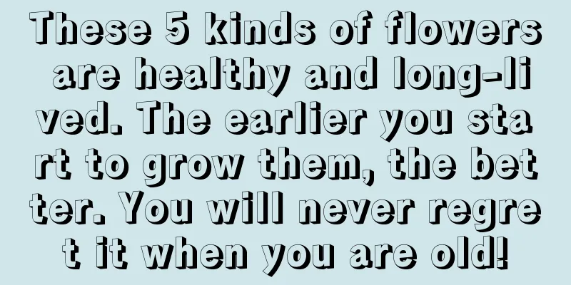 These 5 kinds of flowers are healthy and long-lived. The earlier you start to grow them, the better. You will never regret it when you are old!