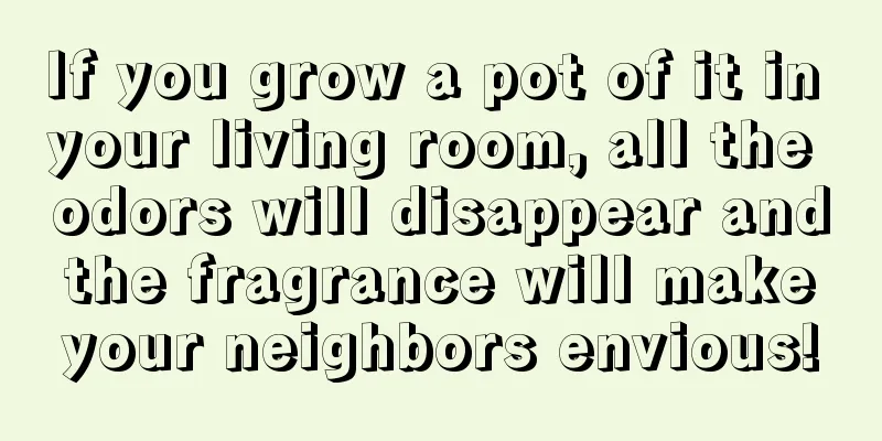 If you grow a pot of it in your living room, all the odors will disappear and the fragrance will make your neighbors envious!