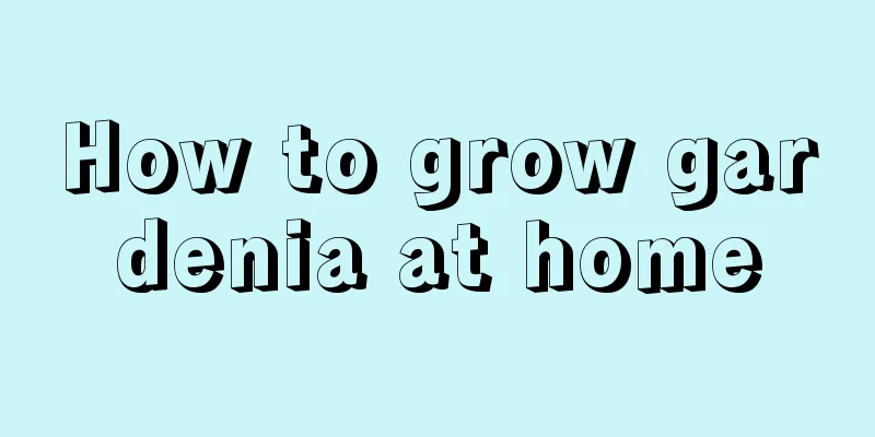 How to grow gardenia at home