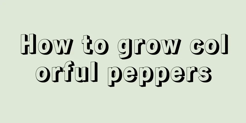 How to grow colorful peppers