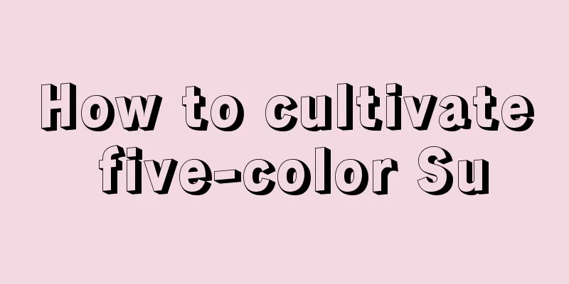 How to cultivate five-color Su