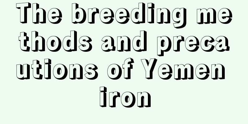 The breeding methods and precautions of Yemen iron