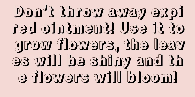 Don’t throw away expired ointment! Use it to grow flowers, the leaves will be shiny and the flowers will bloom!