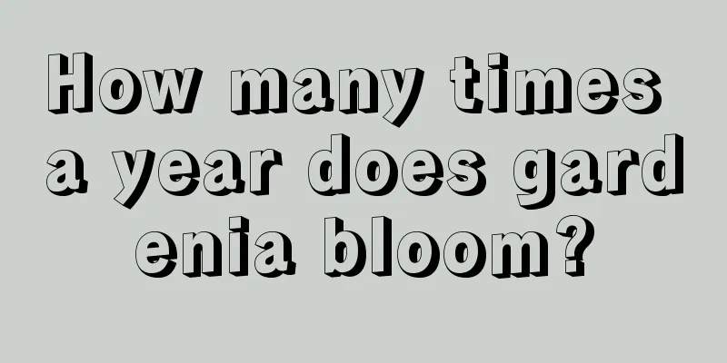 How many times a year does gardenia bloom?