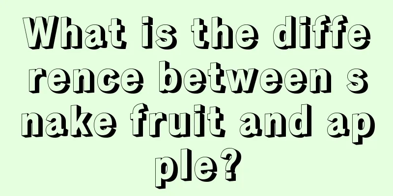 What is the difference between snake fruit and apple?