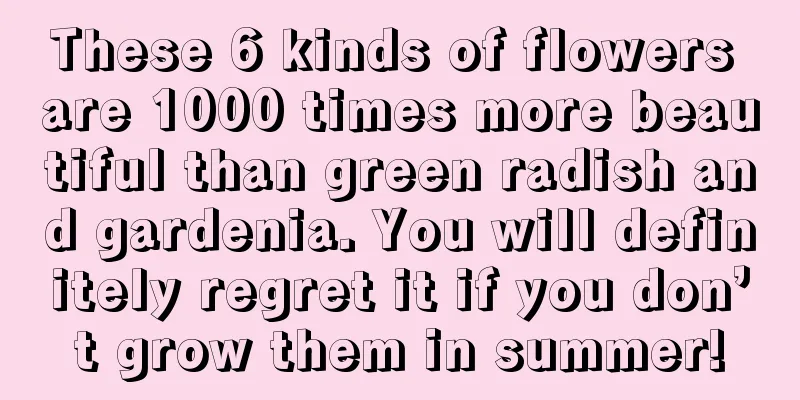 These 6 kinds of flowers are 1000 times more beautiful than green radish and gardenia. You will definitely regret it if you don’t grow them in summer!