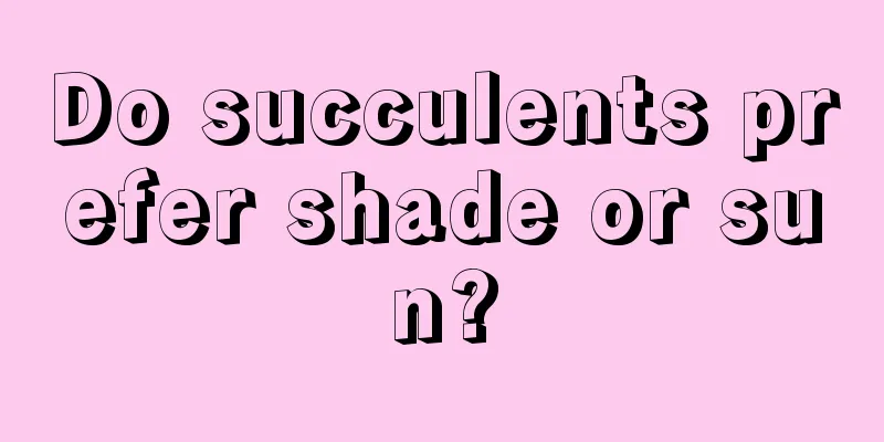 Do succulents prefer shade or sun?