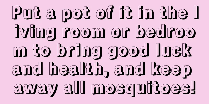 Put a pot of it in the living room or bedroom to bring good luck and health, and keep away all mosquitoes!