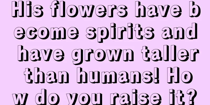 His flowers have become spirits and have grown taller than humans! How do you raise it?