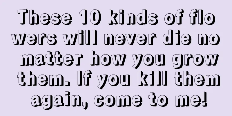 These 10 kinds of flowers will never die no matter how you grow them. If you kill them again, come to me!