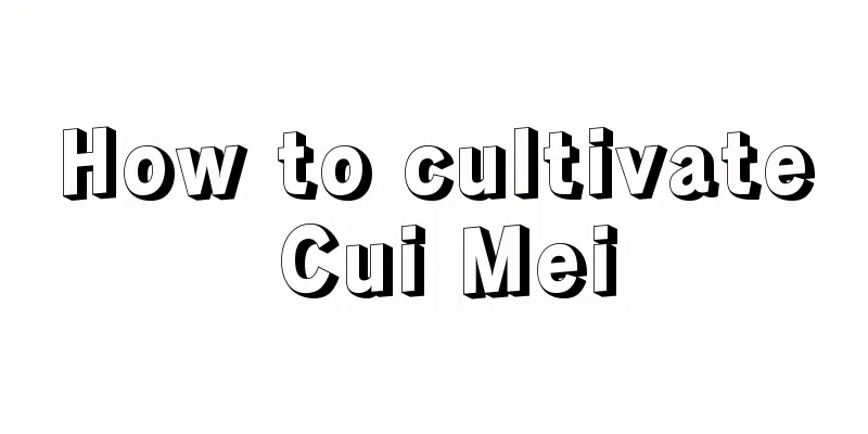 How to cultivate Cui Mei