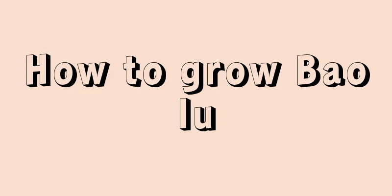 How to grow Baolu