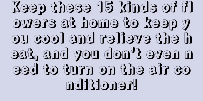 Keep these 15 kinds of flowers at home to keep you cool and relieve the heat, and you don’t even need to turn on the air conditioner!