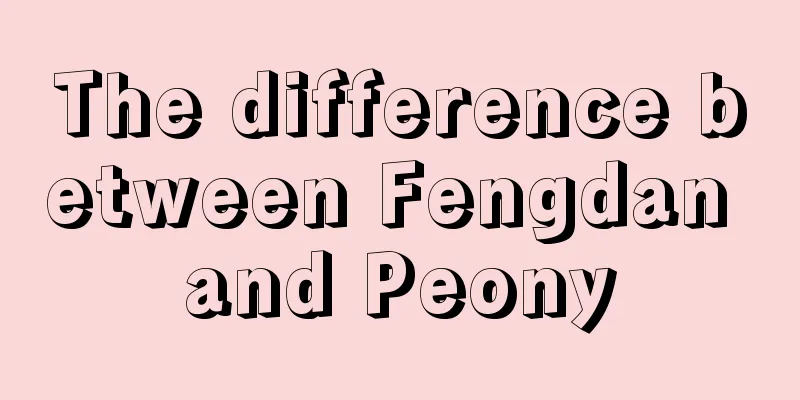 The difference between Fengdan and Peony