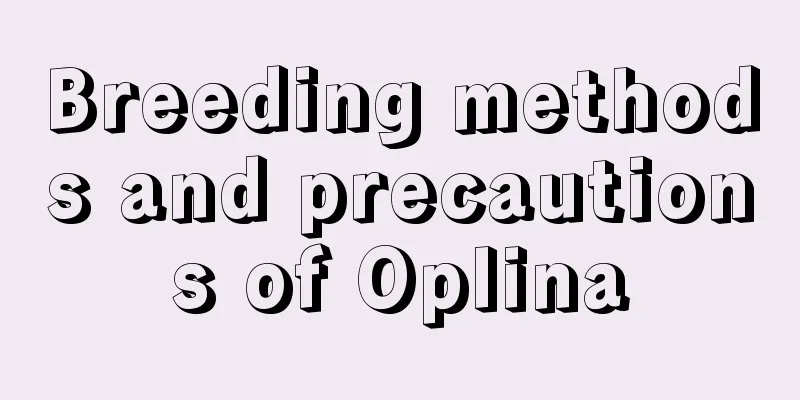 Breeding methods and precautions of Oplina