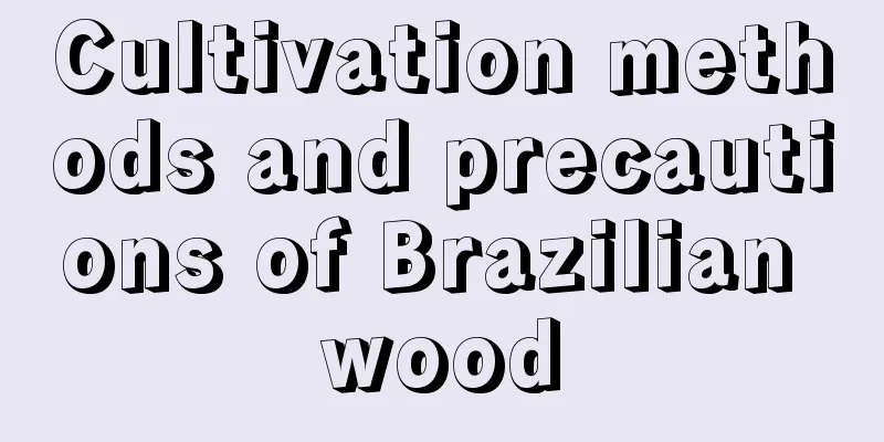 Cultivation methods and precautions of Brazilian wood