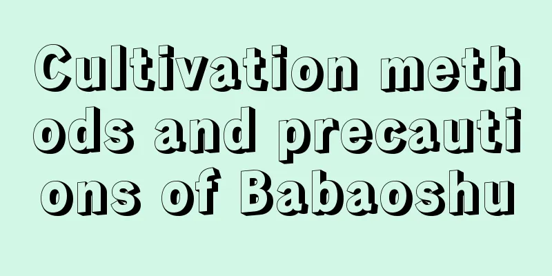 Cultivation methods and precautions of Babaoshu