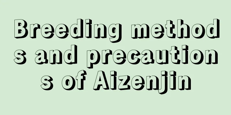 Breeding methods and precautions of Aizenjin