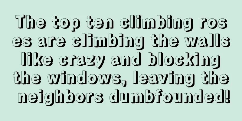 The top ten climbing roses are climbing the walls like crazy and blocking the windows, leaving the neighbors dumbfounded!